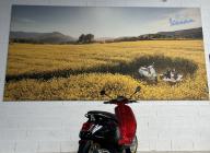 VESPA PRIMAVERA 125 WALT DISNEY E5 ABS